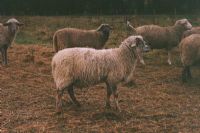 Agriculture : la MRC du Val-Saint-François met ses producteurs en valeur